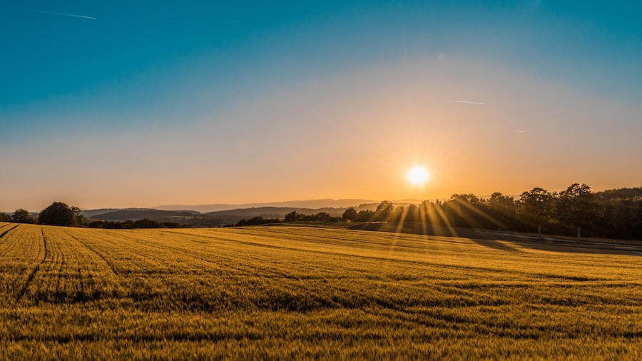 Farm Services — image 31