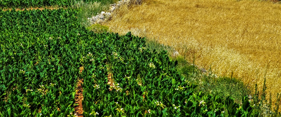 Farm Services — image 22