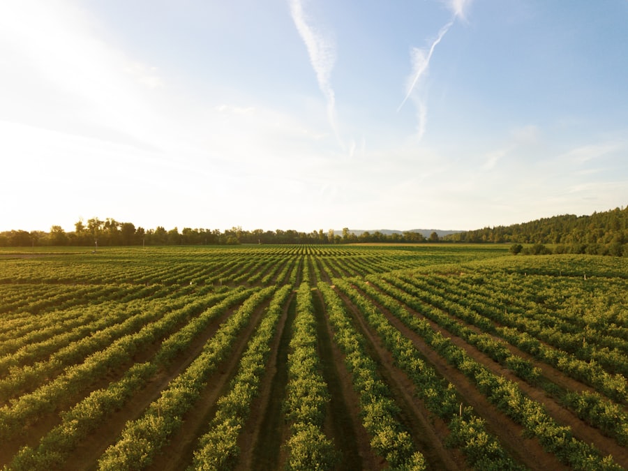 Farm Services — image 24
