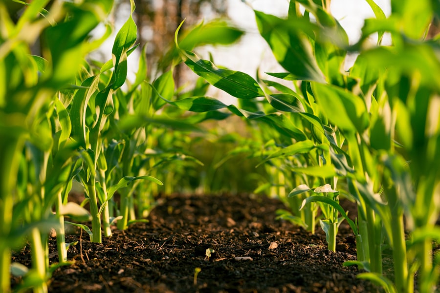 Farm Services — image 9