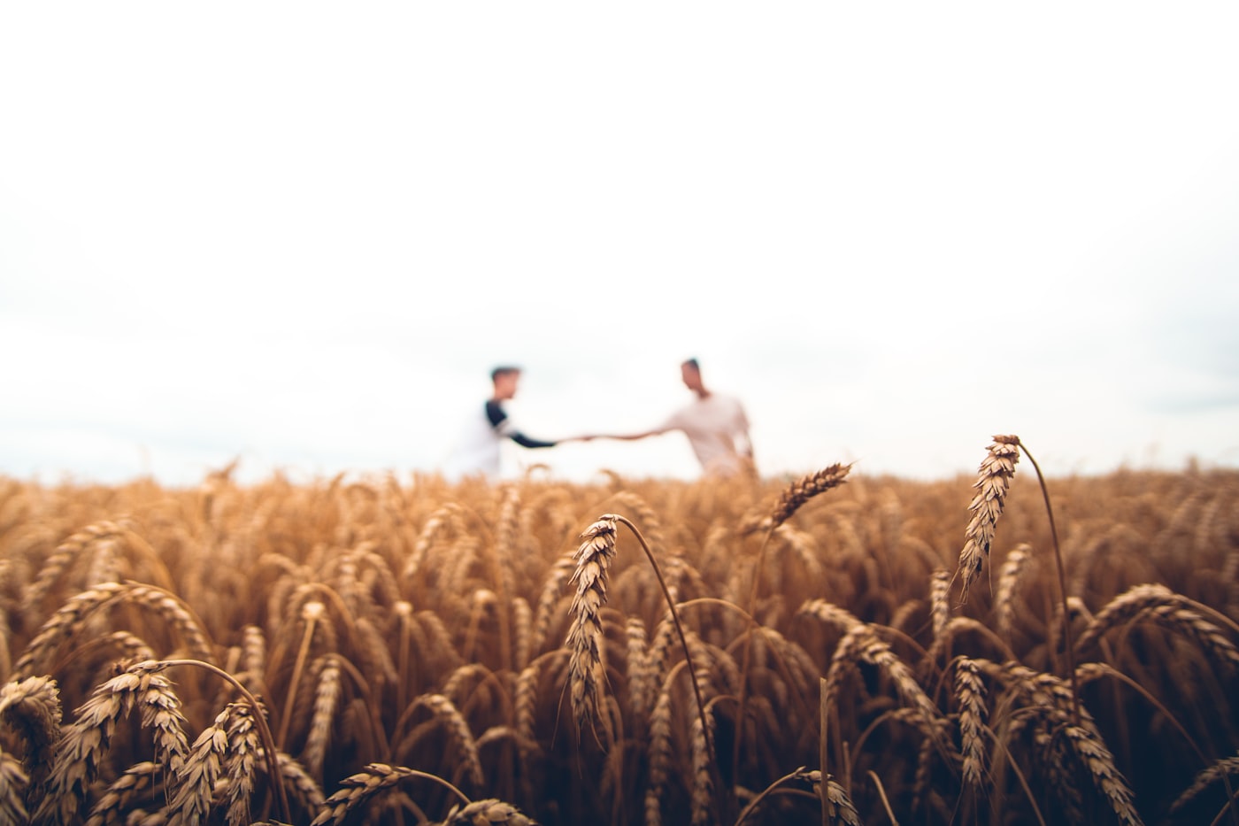 Farm Services by NEXA Global Group Inc.